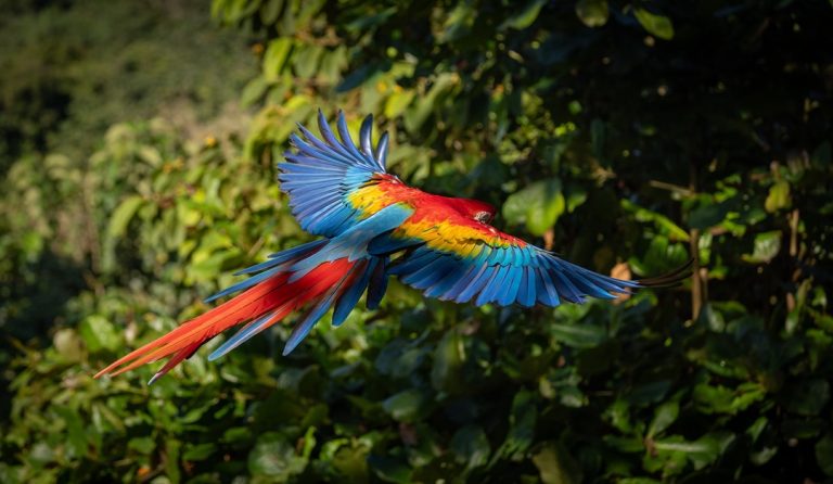 costa rica offshore banking