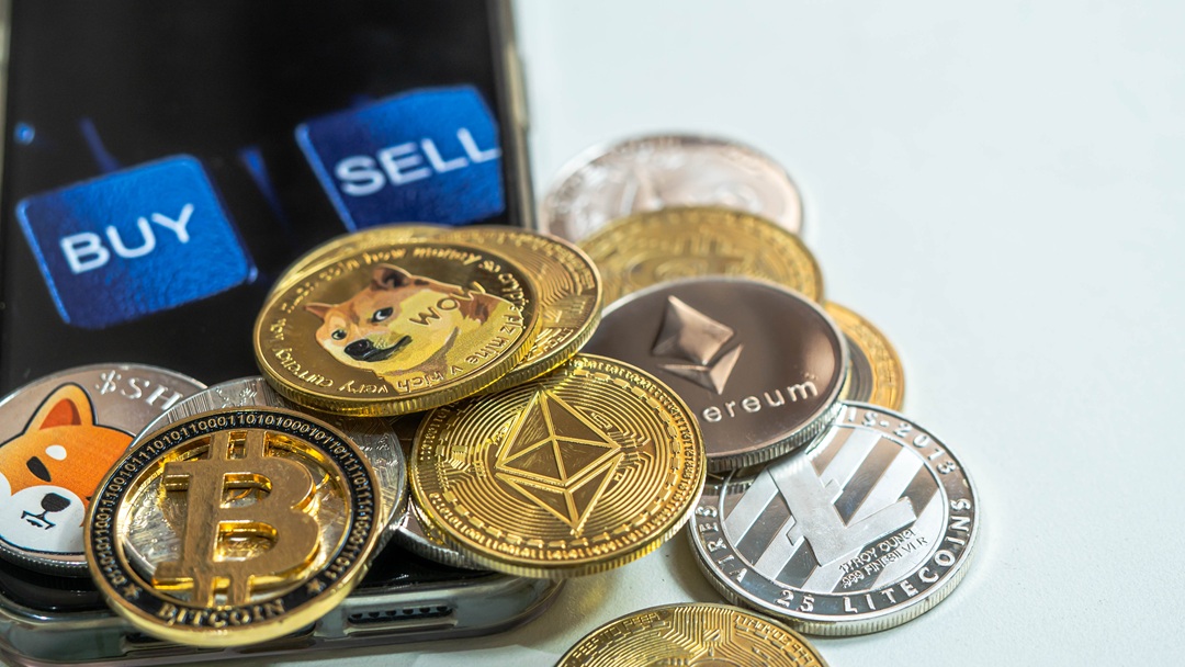 Best Crypto Wallet for Beginners and Experts in 2025 crypto wallet