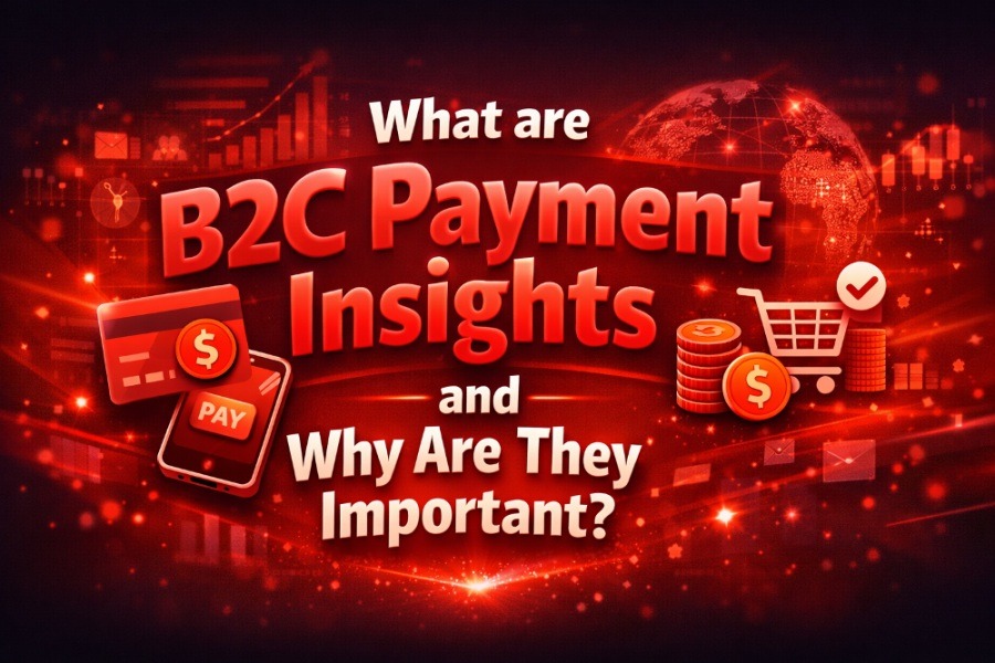 What are B2C payment insights and why are they important