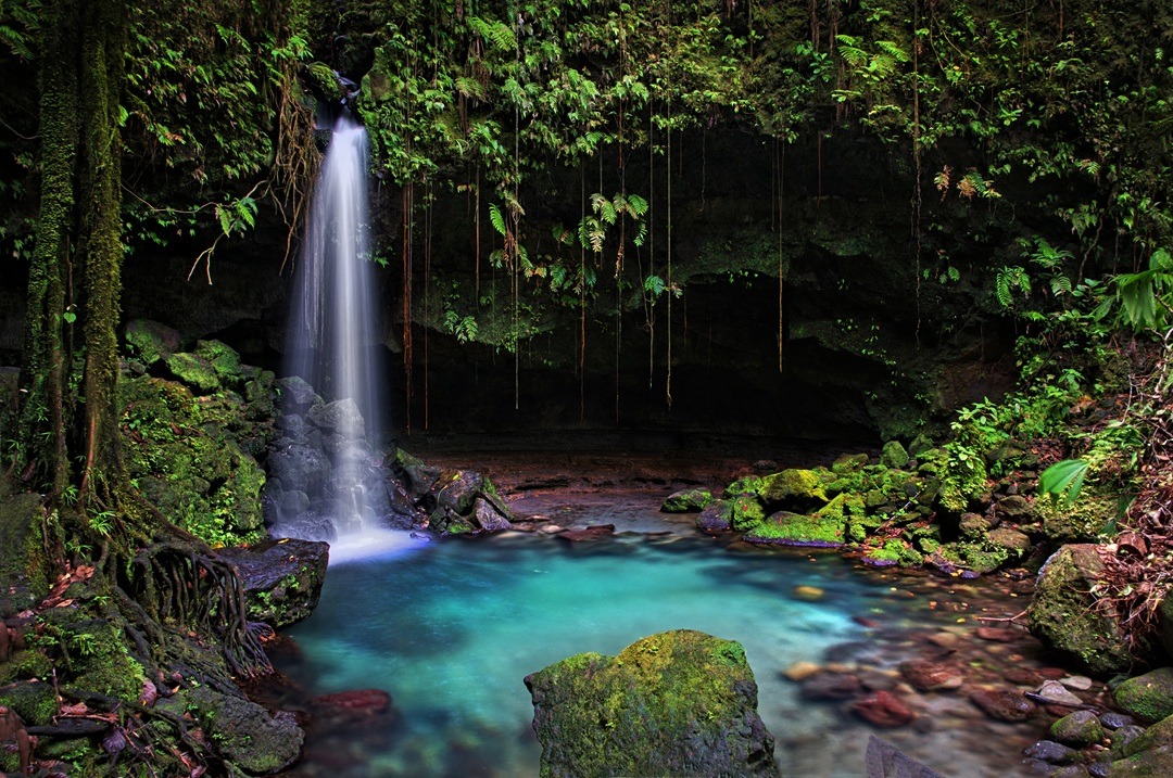 dominica offshore account