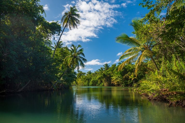 How to Choose a Trusted Bank for Your Dominica Offshore Account dominica offshore account