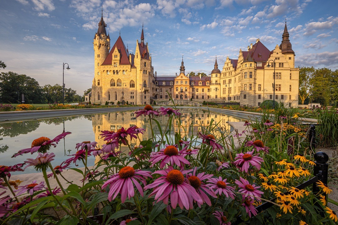 poland business bank account